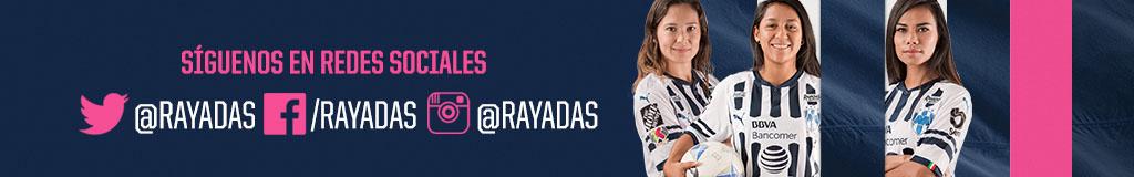 Banner 15