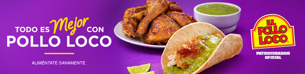 Banner 313